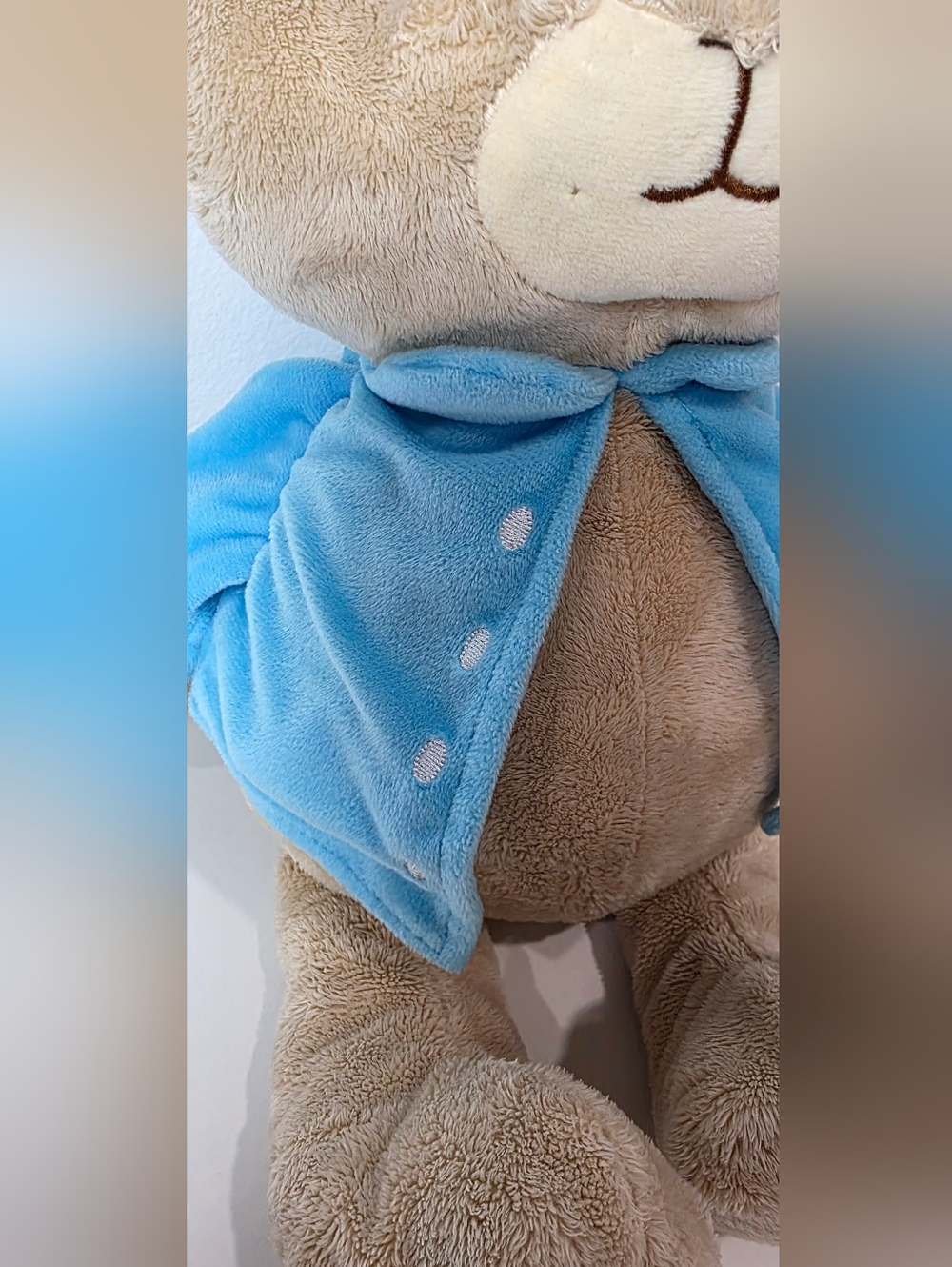 Beatrix Potter Peter Rabbit Plush - Picture 3 of 6